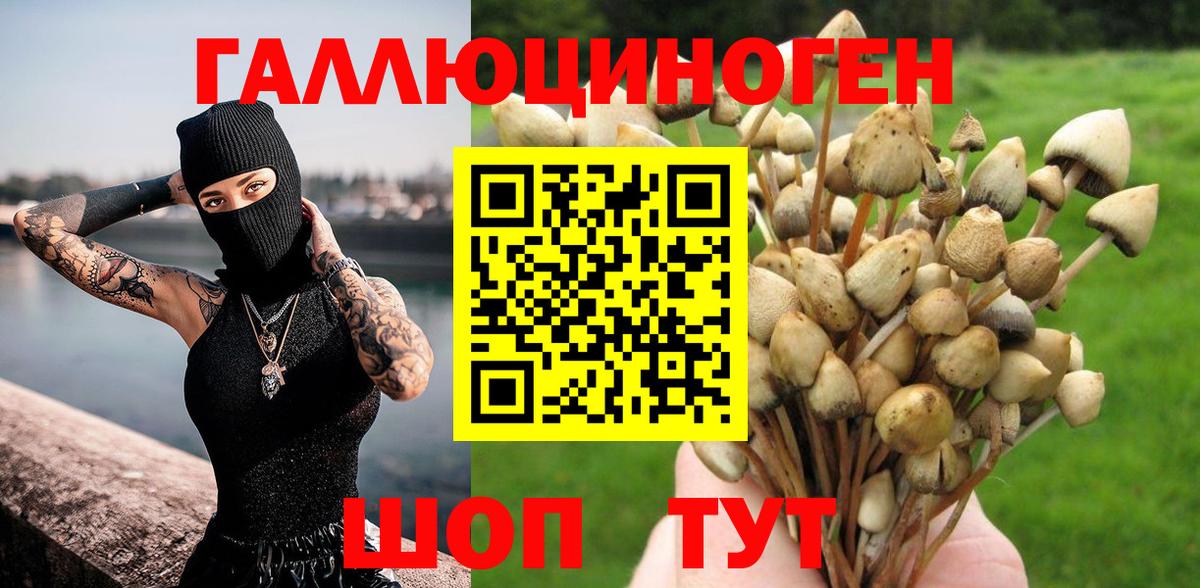 Санкт-Петербург  Галлюциногенные грибы мицелий  Вход с VPN 